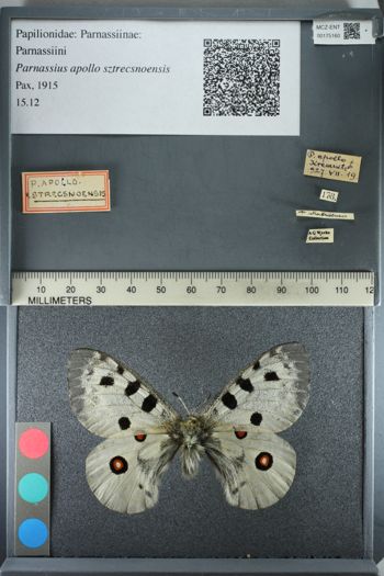 Media type: image;   Entomology 175160